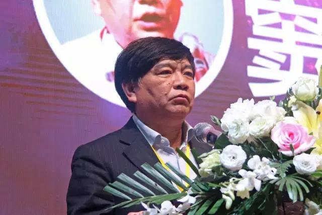 中(zhong)國炤明學會祕(mi)書長竇林平.jpg